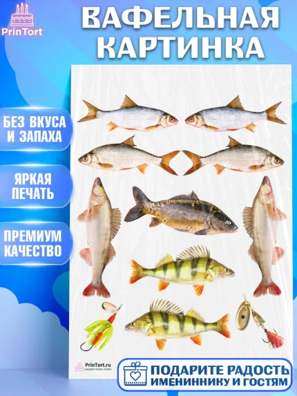 Вафельная картинка, Рыбалка, Рыба, Мальчик, День рождения, арт. PT202099