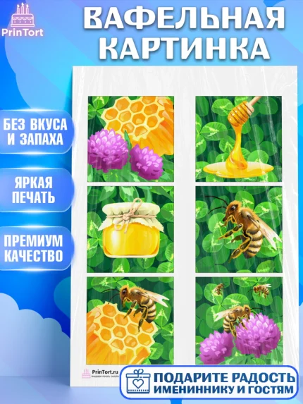 Вафельная картинка, Пчеловод, Пчелы, Мальчик, День рождения, арт. PT202150