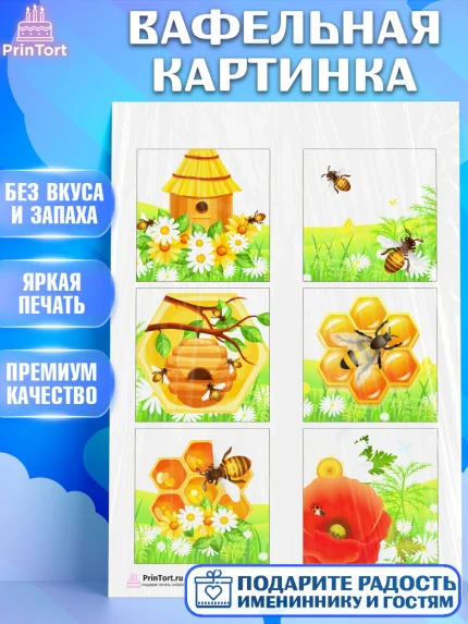 Вафельная картинка, Пчеловод, Пчелы, Мальчик, День рождения, арт. PT202151