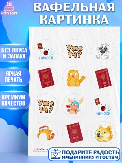 Вафельная картинка, Паспорт, Получение паспорта, Девочка, 14 лет, День рождения, арт. PT202321