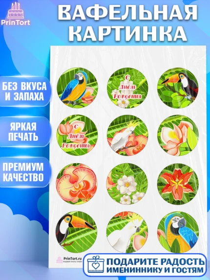 Вафельная картинка, Путешествия, Путешественник, Девочка, День рождения, арт. PT202362