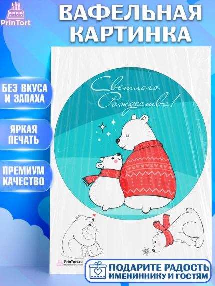 Вафельная картинка, Рождество Христово, Новый Год, Девочка, арт. PT202448
