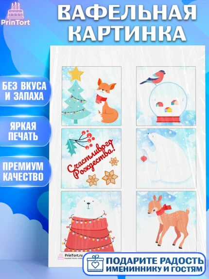 Вафельная картинка, Рождество Христово, Новый Год, Девочка, арт. PT202459