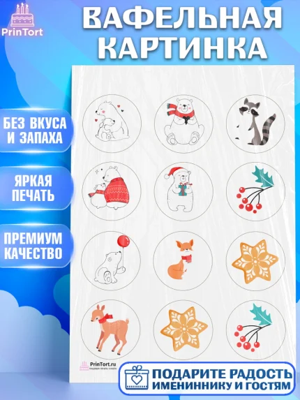 Вафельная картинка, Рождество Христово, Новый Год, Девочка, арт. PT202462