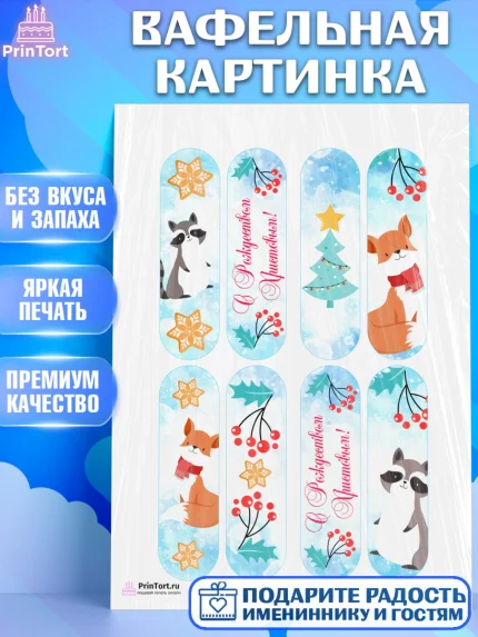 Вафельная картинка, Рождество Христово, Новый Год, Девочка, арт. PT202470