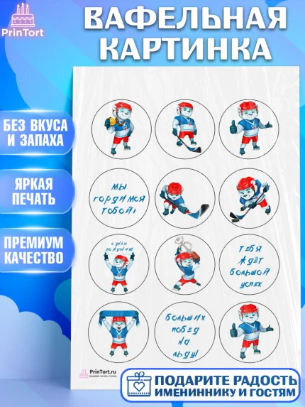 Вафельная картинка, Хоккей, Спорт, Мальчик, День рождения, арт. PT202620
