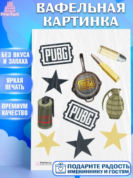 Вафельная картинка, ПАБГ, PUBG, Мальчик, День рождения, арт. PT202911