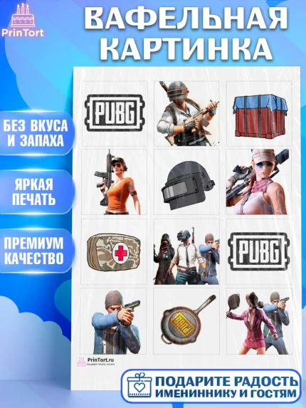 Вафельная картинка, ПАБГ, PUBG, Мальчик, День рождения, арт. PT202913