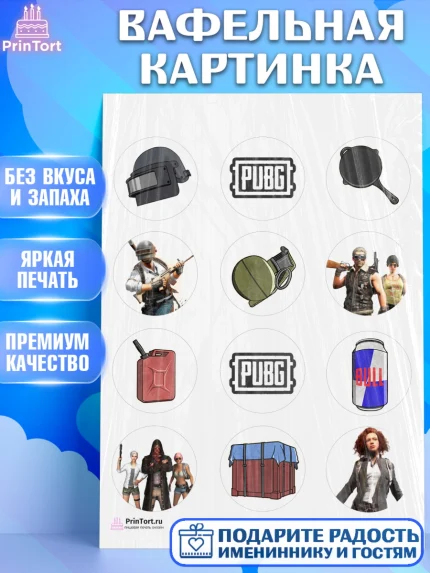 Вафельная картинка, ПАБГ, PUBG, Мальчик, День рождения, арт. PT202914