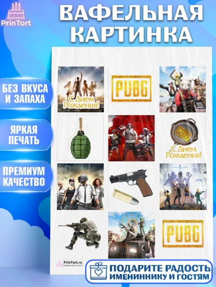 Вафельная картинка, ПАБГ, PUBG, Мальчик, День рождения, арт. PT202919