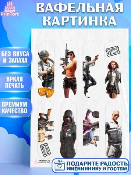 Вафельная картинка, ПАБГ, PUBG, Мальчик, День рождения, арт. PT202922
