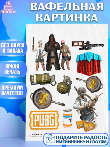 Вафельная картинка, ПАБГ, PUBG, Мальчик, День рождения, арт. PT202924