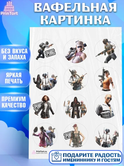 Вафельная картинка, ПАБГ, PUBG, Мальчик, День рождения, арт. PT202926