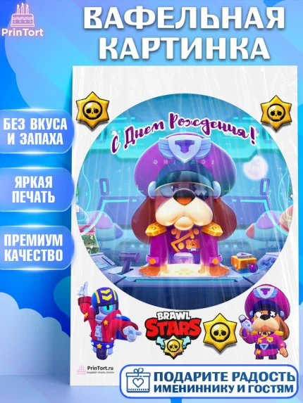 Вафельная картинка, Бравл Старс, Brawl Stars, Девочка, День рождения, арт. PT203009
