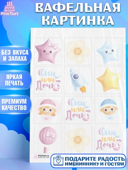 Вафельная картинка, Мальчик или девочка, Гендер пати, Девочка, День рождения, арт. PT203106