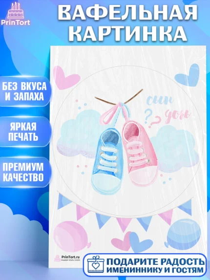 Вафельная картинка, Мальчик или девочка, Гендер пати, Девочка, День рождения, арт. PT203118