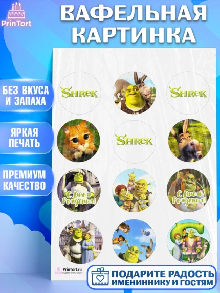 Вафельная картинка, Шрек, Shrek, Девочка, День рождения, арт. PT203228