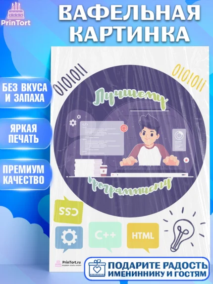 Вафельная картинка, Программист, Компьютер, Мальчик, День рождения, арт. PT203242