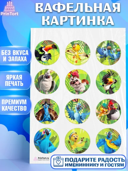 Вафельная картинка, Рио, Девочка, День рождения, арт. PT203435