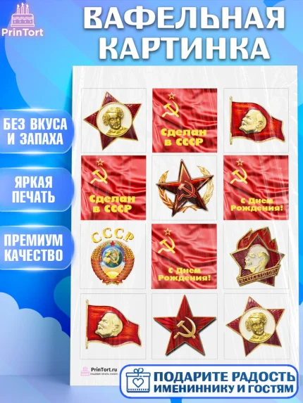 Вафельная картинка, Сделан в СССР, Девочка, День рождения, арт. PT203523