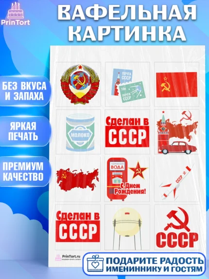 Вафельная картинка, Сделан в СССР, Девочка, День рождения, арт. PT203528