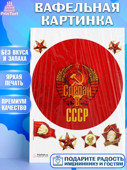 Вафельная картинка, Сделан в СССР, Девочка, День рождения, арт. PT203540