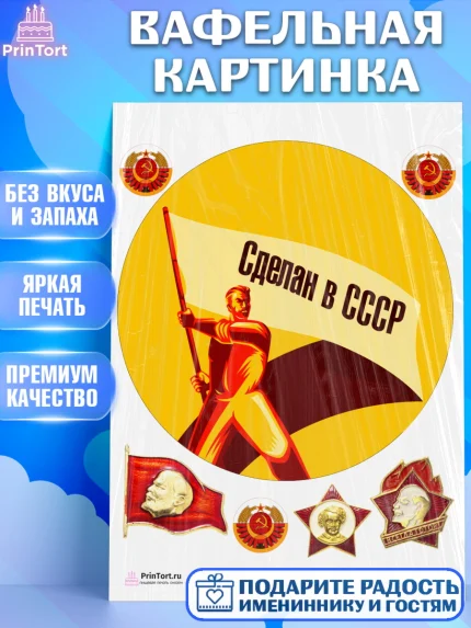 Вафельная картинка, Сделан в СССР, Девочка, День рождения, арт. PT203541