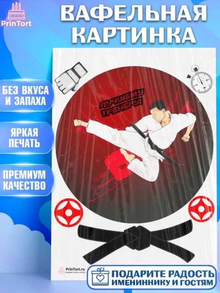 Вафельная картинка, Карате, Спорт, Мальчик, День рождения, арт. PT204106