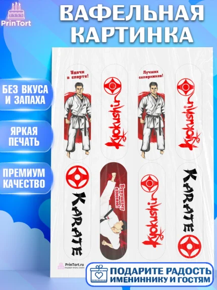 Вафельная картинка, Карате, Спорт, Мальчик, День рождения, арт. PT204107
