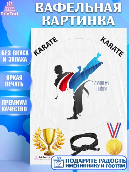 Вафельная картинка, Карате, Спорт, Мальчик, День рождения, арт. PT204111
