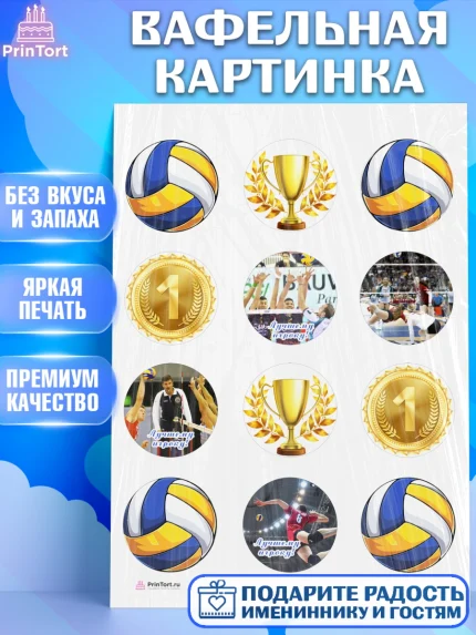 Вафельная картинка, Волейбол, Волейболист, Мальчик, День рождения, арт. PT204736