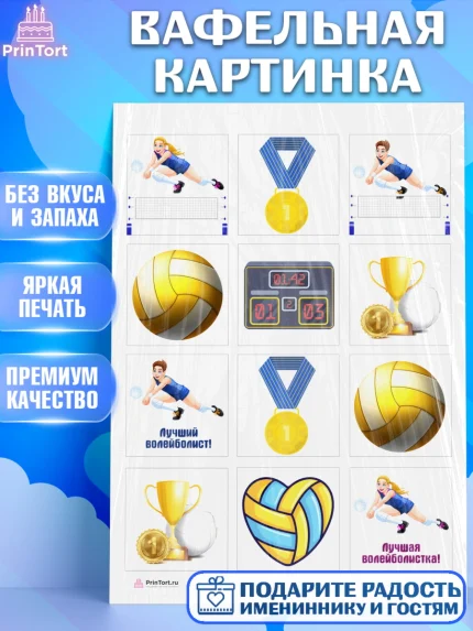 Вафельная картинка, Волейбол, Волейболист, Мальчик, День рождения, арт. PT204739