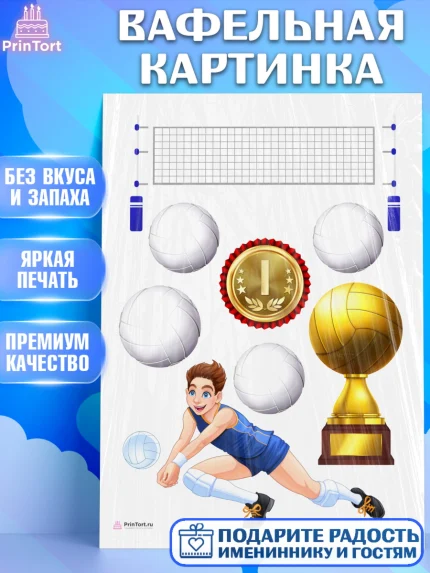 Вафельная картинка, Волейбол, Волейболист, Мальчик, День рождения, арт. PT204741