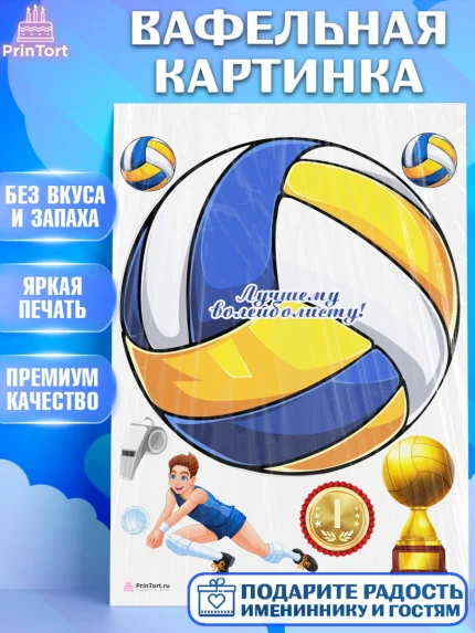Вафельная картинка, Волейбол, Волейболист, Мальчик, День рождения, арт. PT204747
