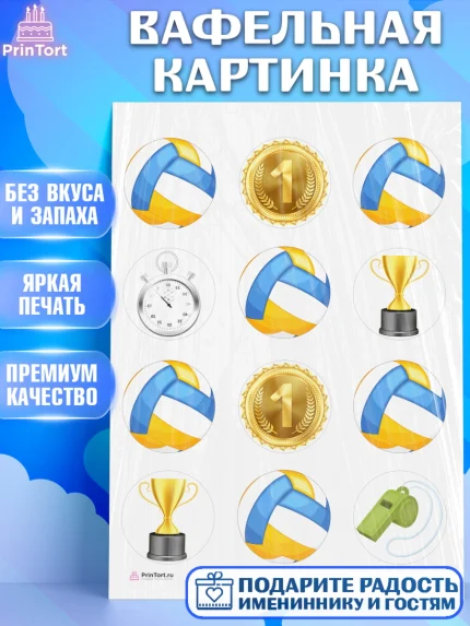 Вафельная картинка, Волейбол, Волейболист, Мальчик, День рождения, арт. PT204757