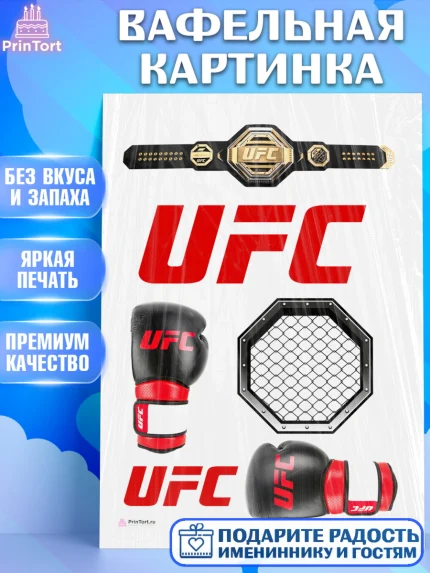 Вафельная картинка, Бои без правил UFC, ЮФС, Мальчик, День рождения, арт. PT205010