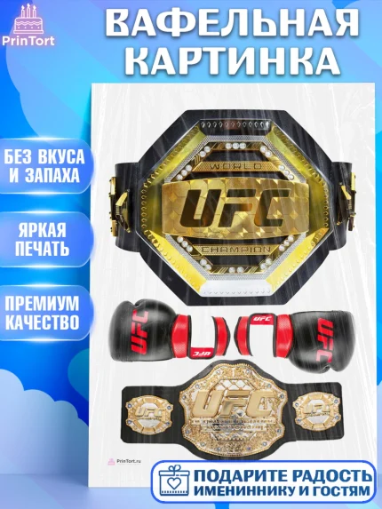 Вафельная картинка, Бои без правил UFC, ЮФС, Мальчик, День рождения, арт. PT205017