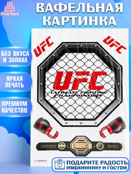 Вафельная картинка, Бои без правил UFC, ЮФС, Мальчик, День рождения, арт. PT205020
