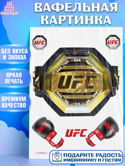 Вафельная картинка, Бои без правил UFC, ЮФС, Мальчик, День рождения, арт. PT205021