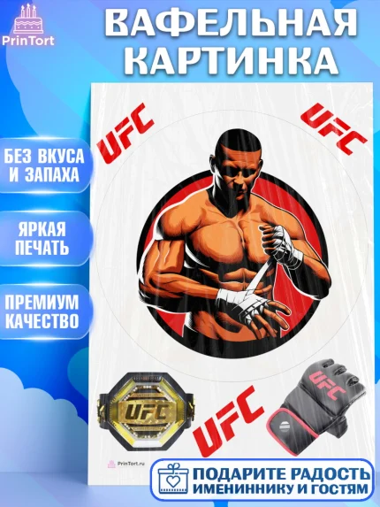 Вафельная картинка, Бои без правил UFC, ЮФС, Мальчик, День рождения, арт. PT205025