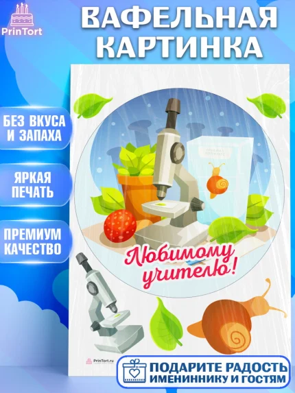 Вафельная картинка, день учителя, Девушка, арт. PT205366