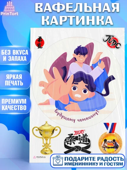 Вафельная картинка, Дзюдо, Мальчик, День рождения, арт. PT205402