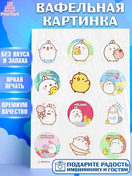 Вафельная картинка, Моланг, Molang, Девочка, День рождения, арт. PT205476