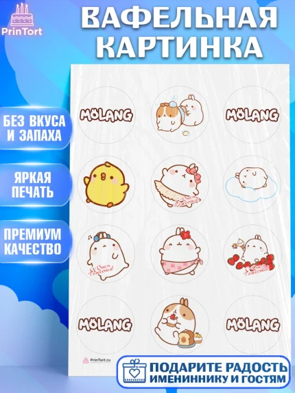 Вафельная картинка, Моланг, Molang, Девочка, День рождения, арт. PT205481