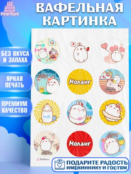 Вафельная картинка, Моланг, Molang, Девочка, День рождения, арт. PT205485