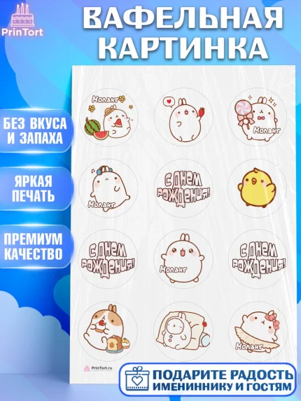 Вафельная картинка, Моланг, Molang, Девочка, День рождения, арт. PT205488