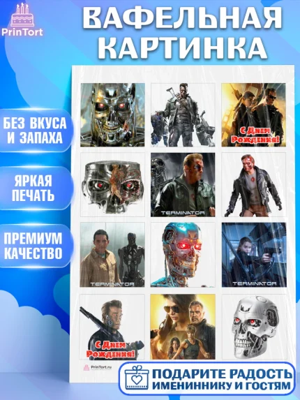 Вафельная картинка, Терминатор, Девочка, День рождения, арт. PT205743