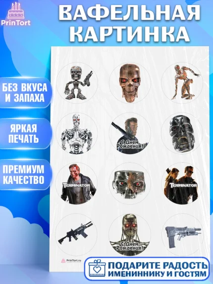 Вафельная картинка, Терминатор, Девочка, День рождения, арт. PT205744