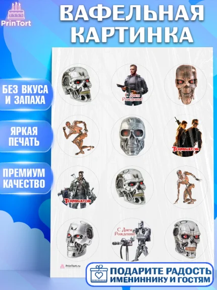 Вафельная картинка, Терминатор, Девочка, День рождения, арт. PT205756