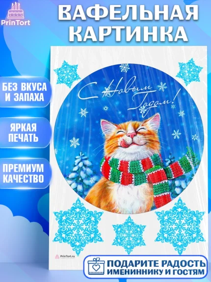 Вафельная картинка, Новый год, Девочка, арт. PT205774